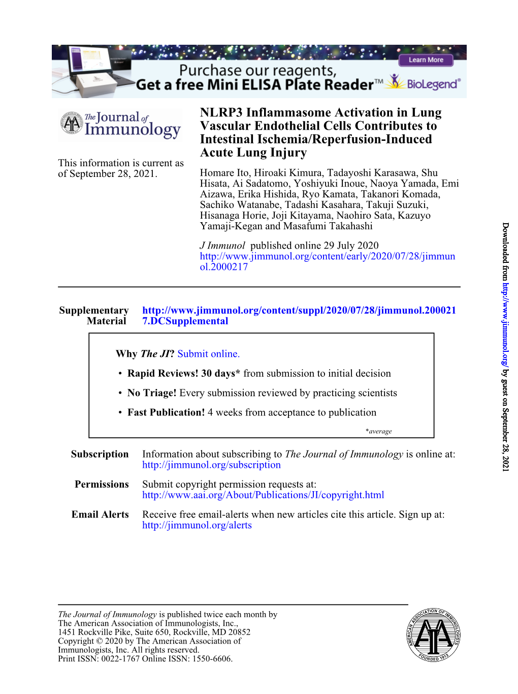 NLRP3 Inflammasome Activation in Lung Vascular Endothelial Cells