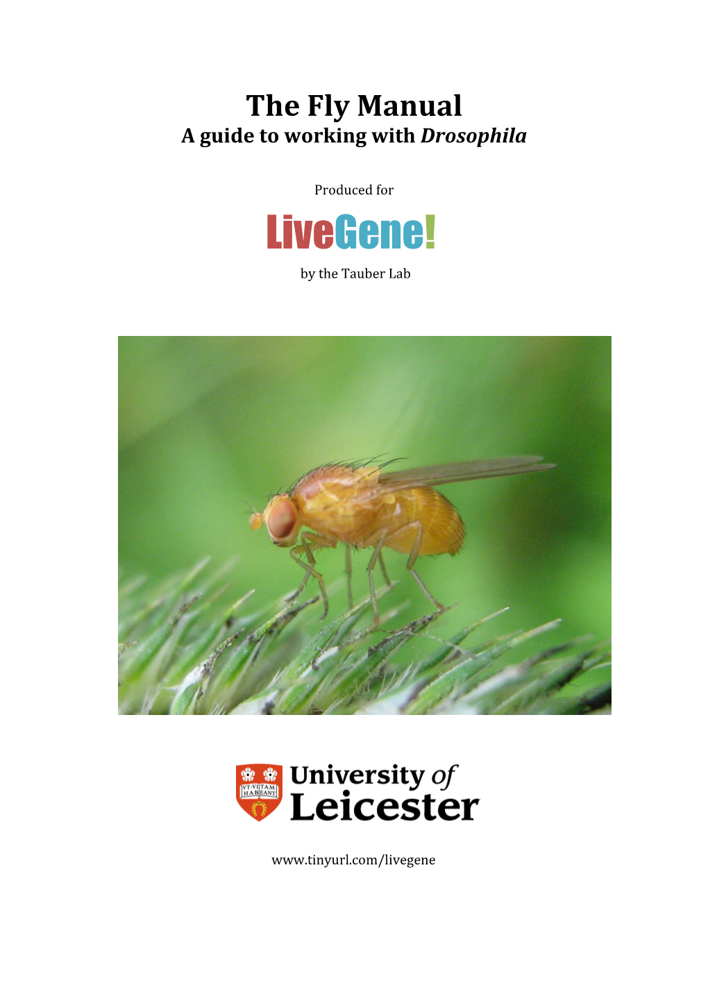 The Fly Manual a Guide to Working with Drosophila