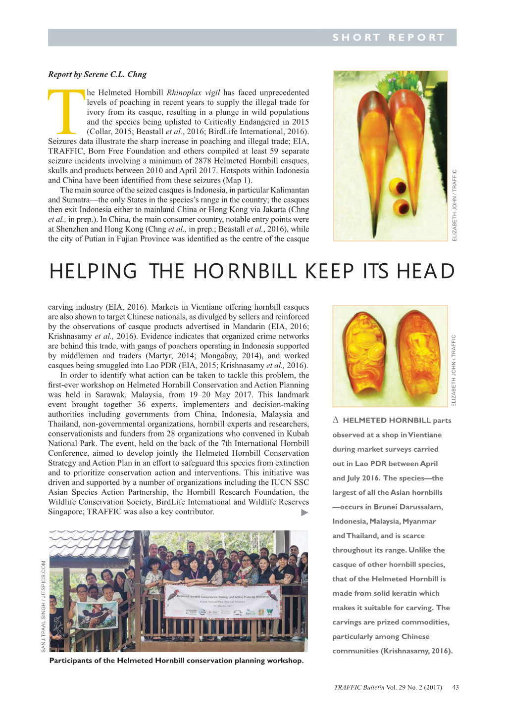 The Helmeted Hornbill Rhinoplax Vigil Has Faced Unprecedented