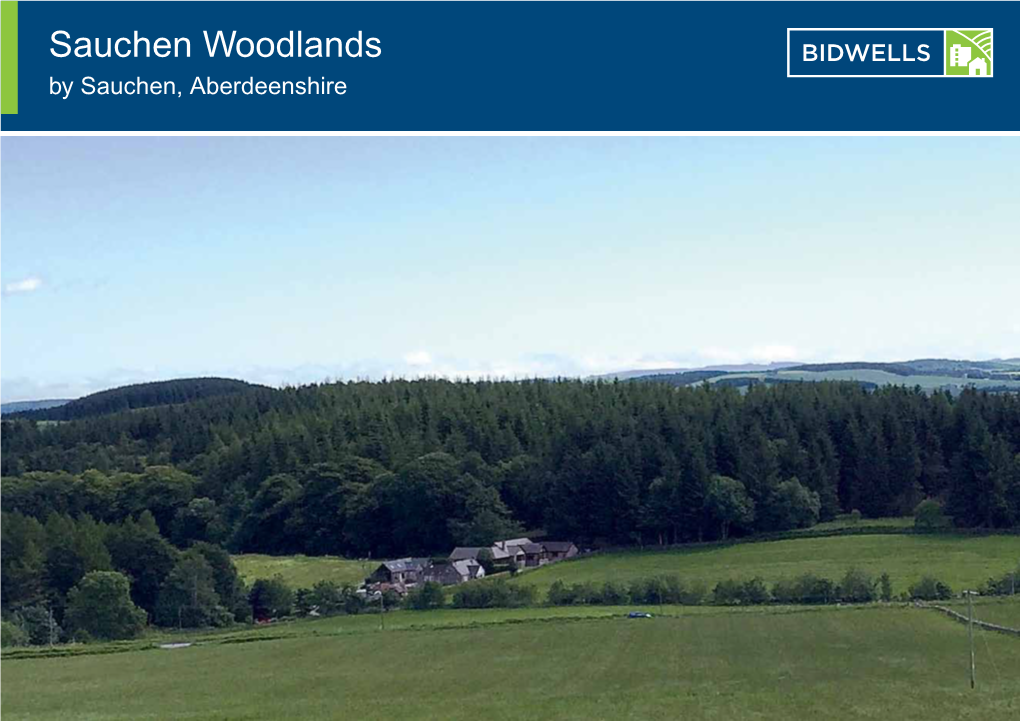 Sauchen Woodlands by Sauchen, Aberdeenshire