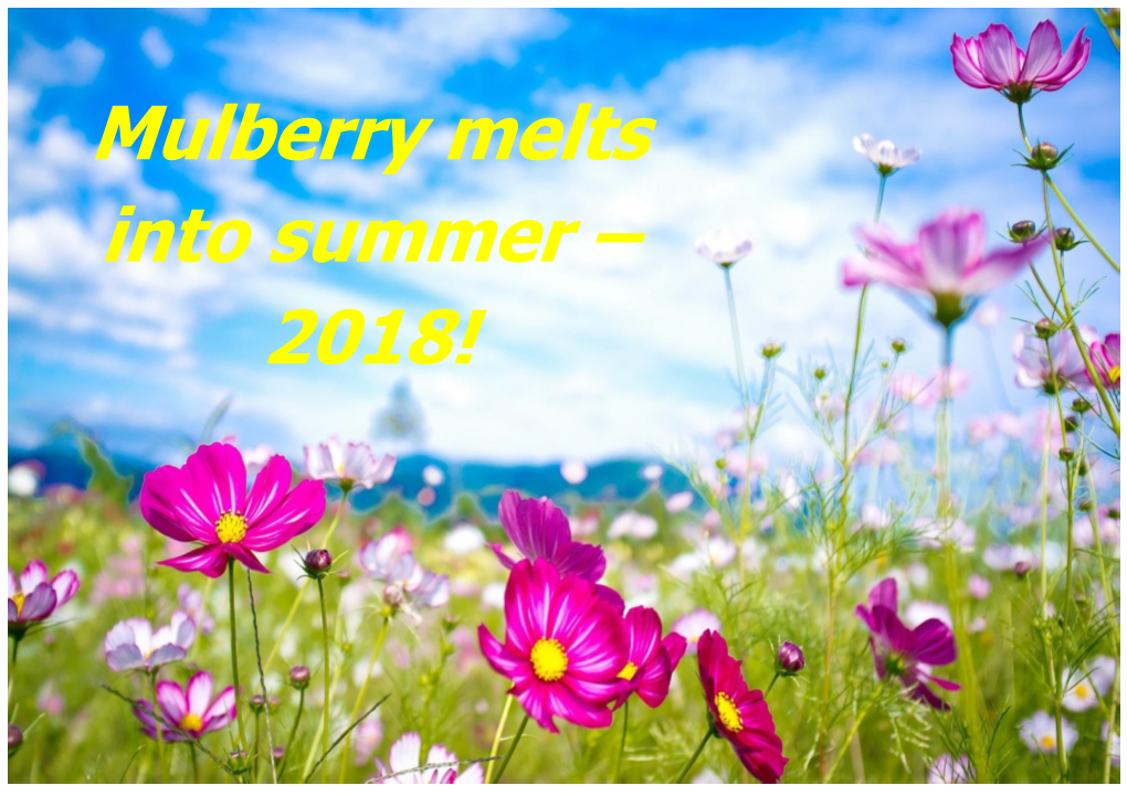 Mulberry Melts Into Summer – 2018!