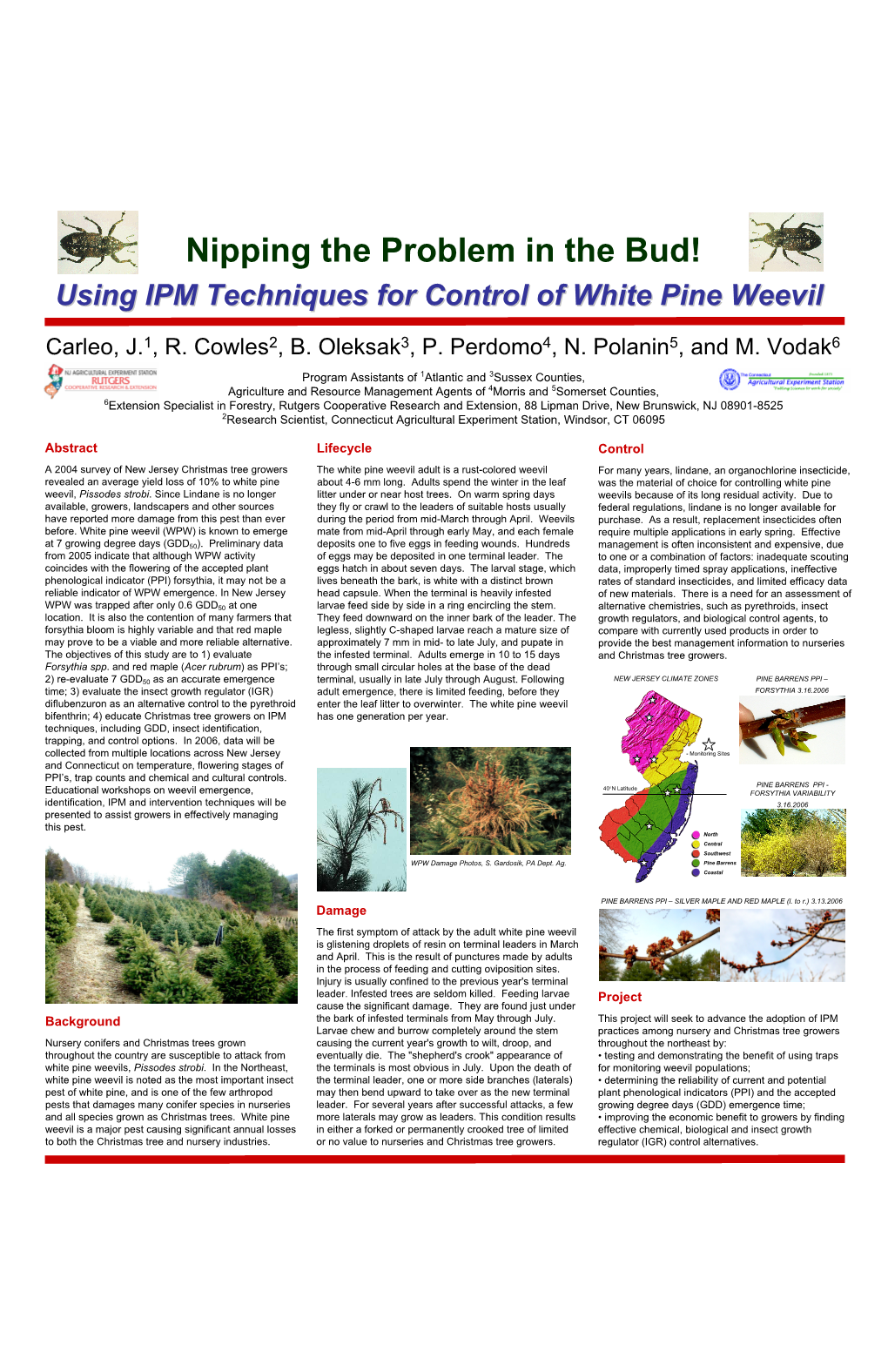 Using IPM Techniques for Control of White Pine Weevil Nipping The