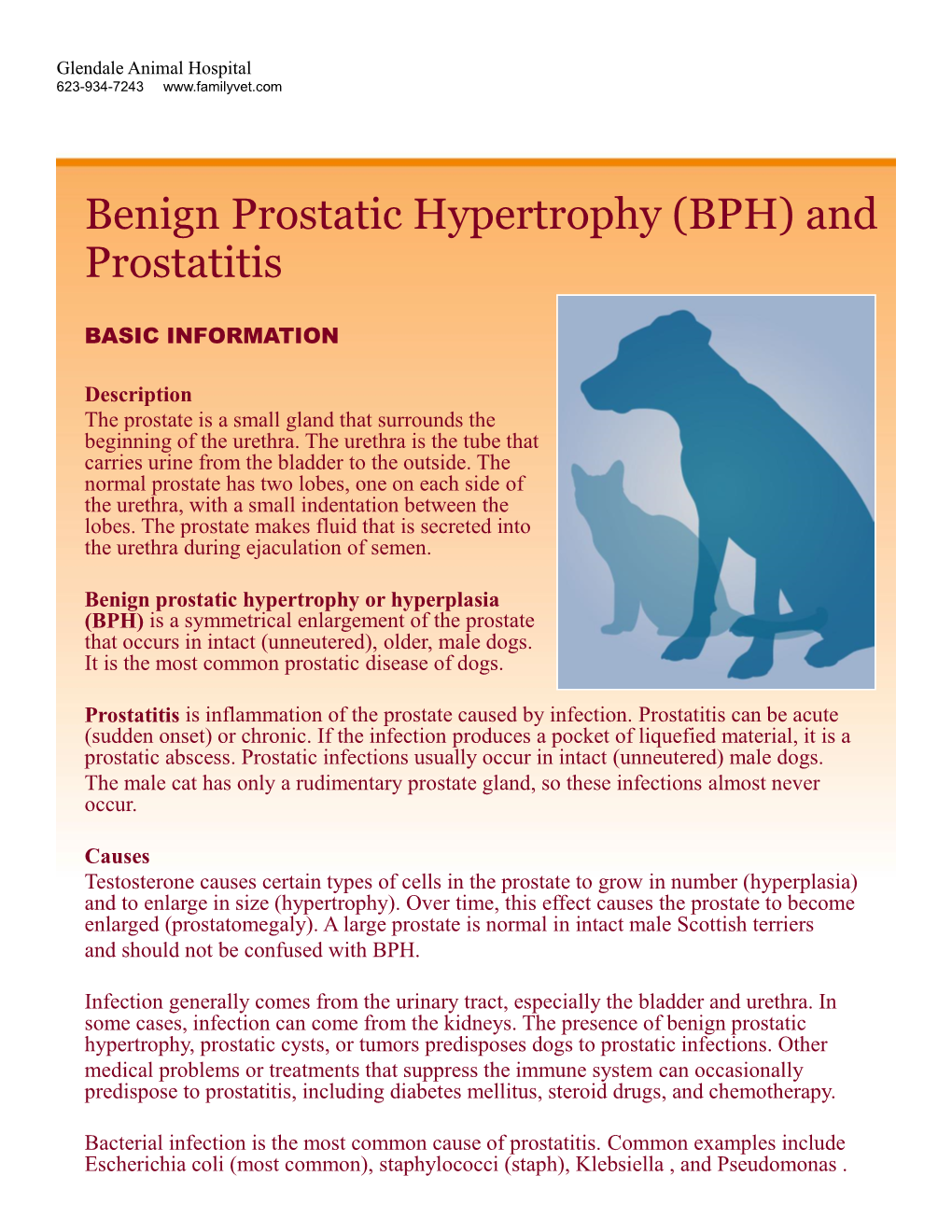 Benign Prostatic Hypertrophy (BPH) and Prostatitis