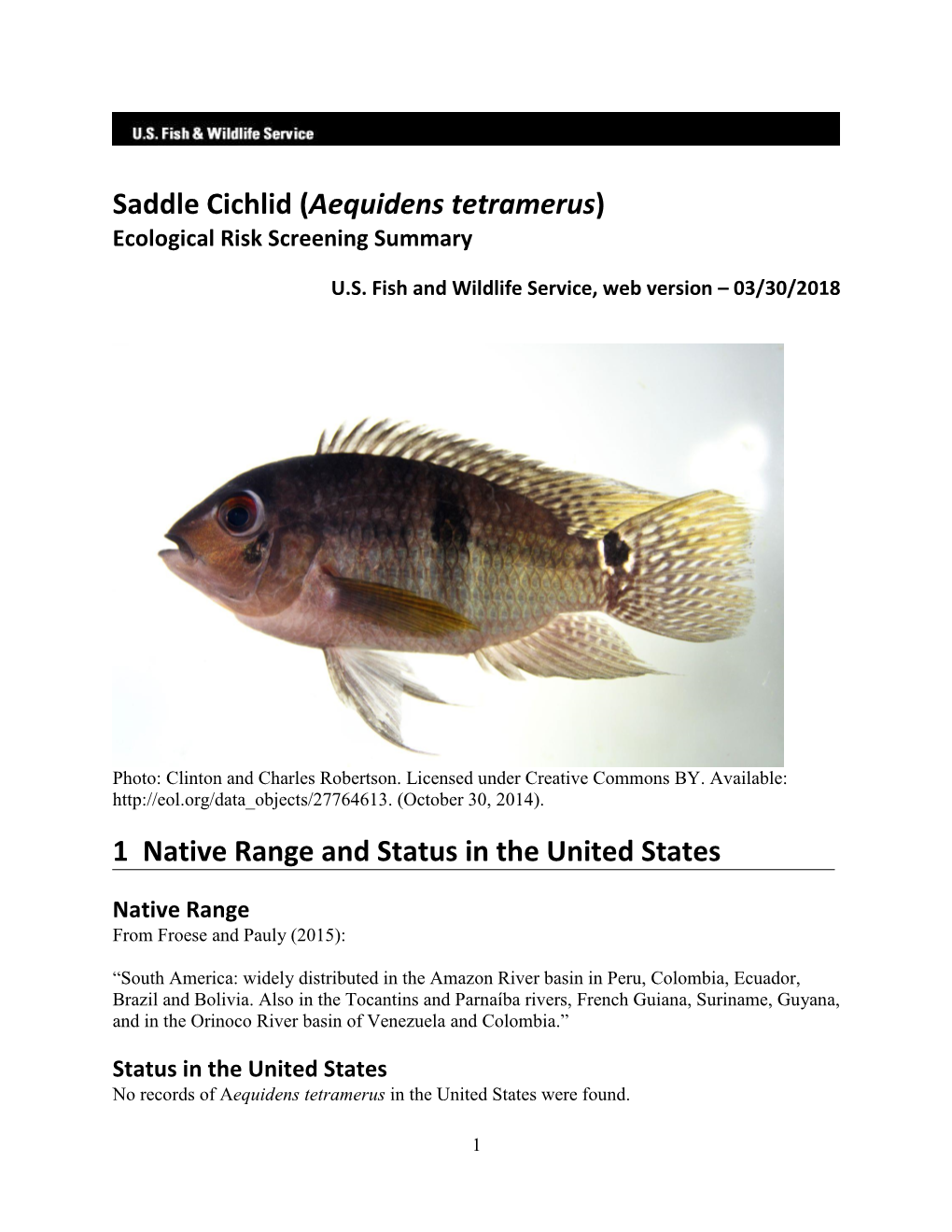 Aequidens Tetramerus) Ecological Risk Screening Summary