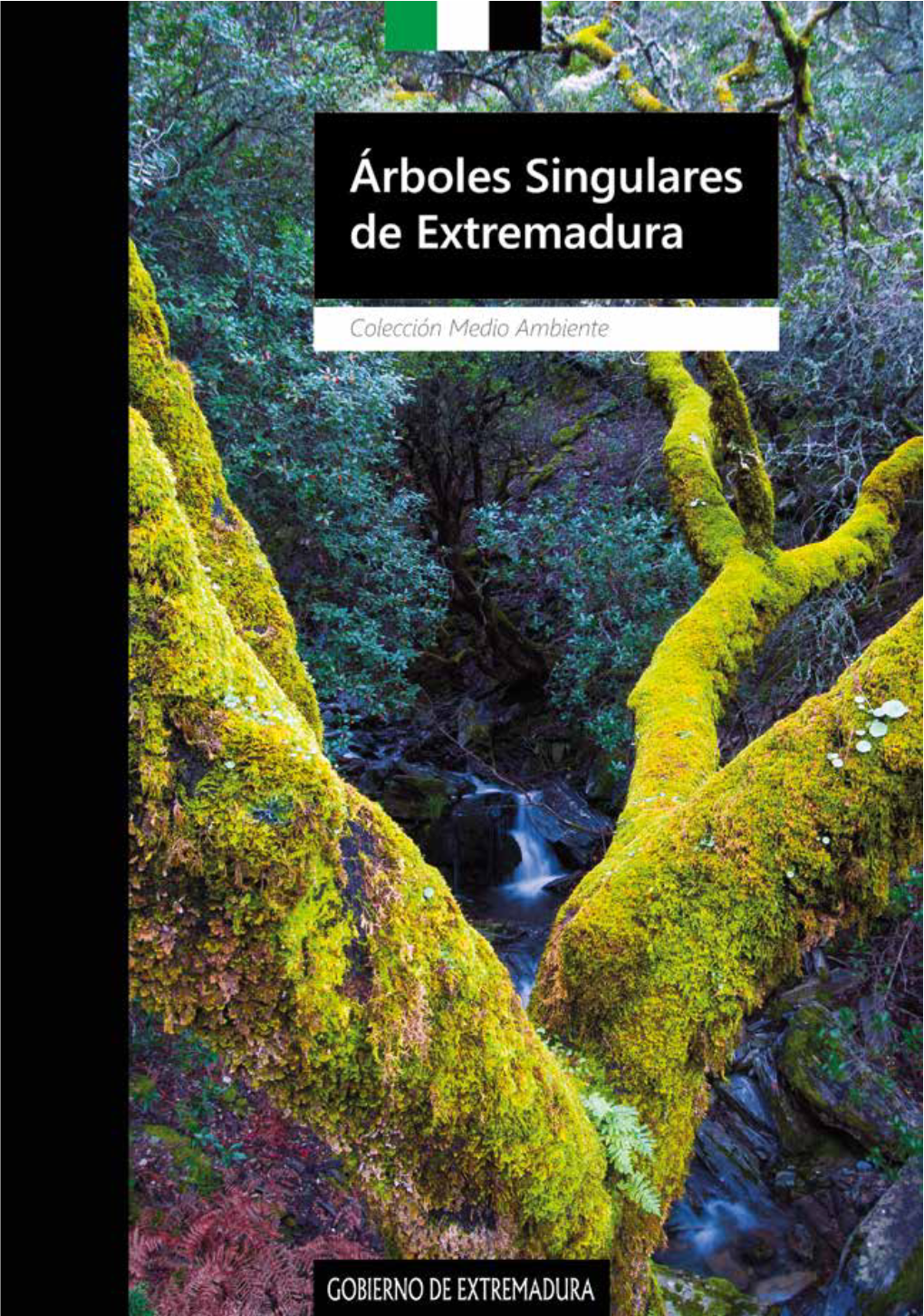 Árboles Singulares De Extremadura