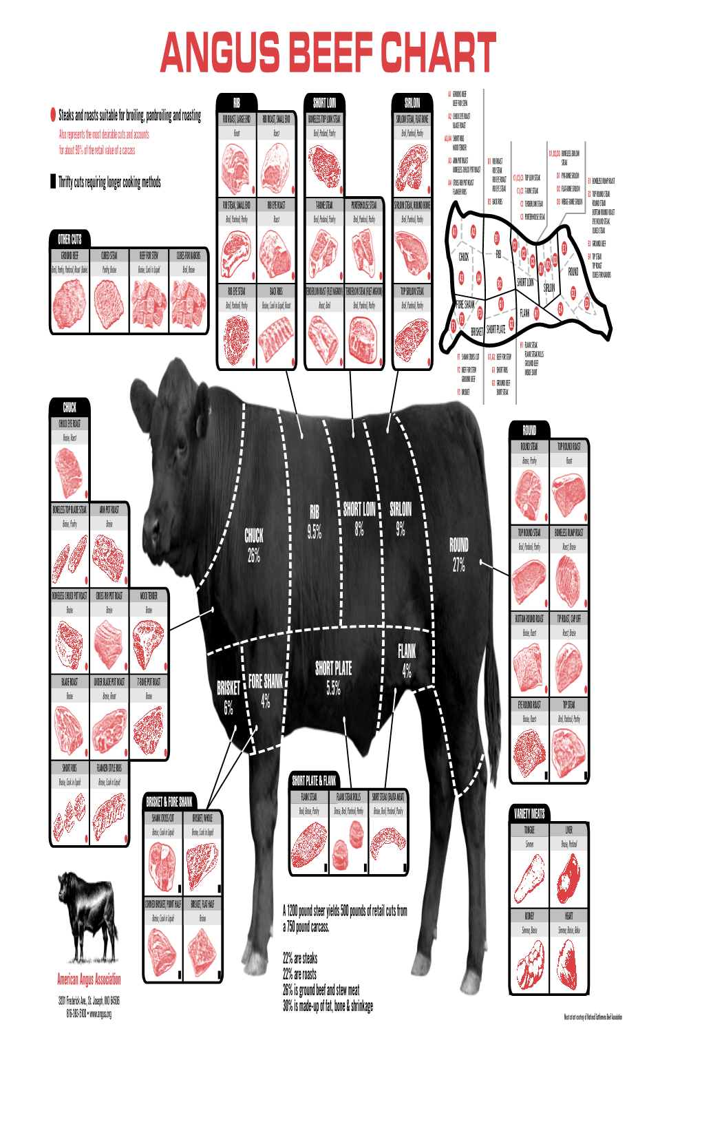 Angus Beef Chart