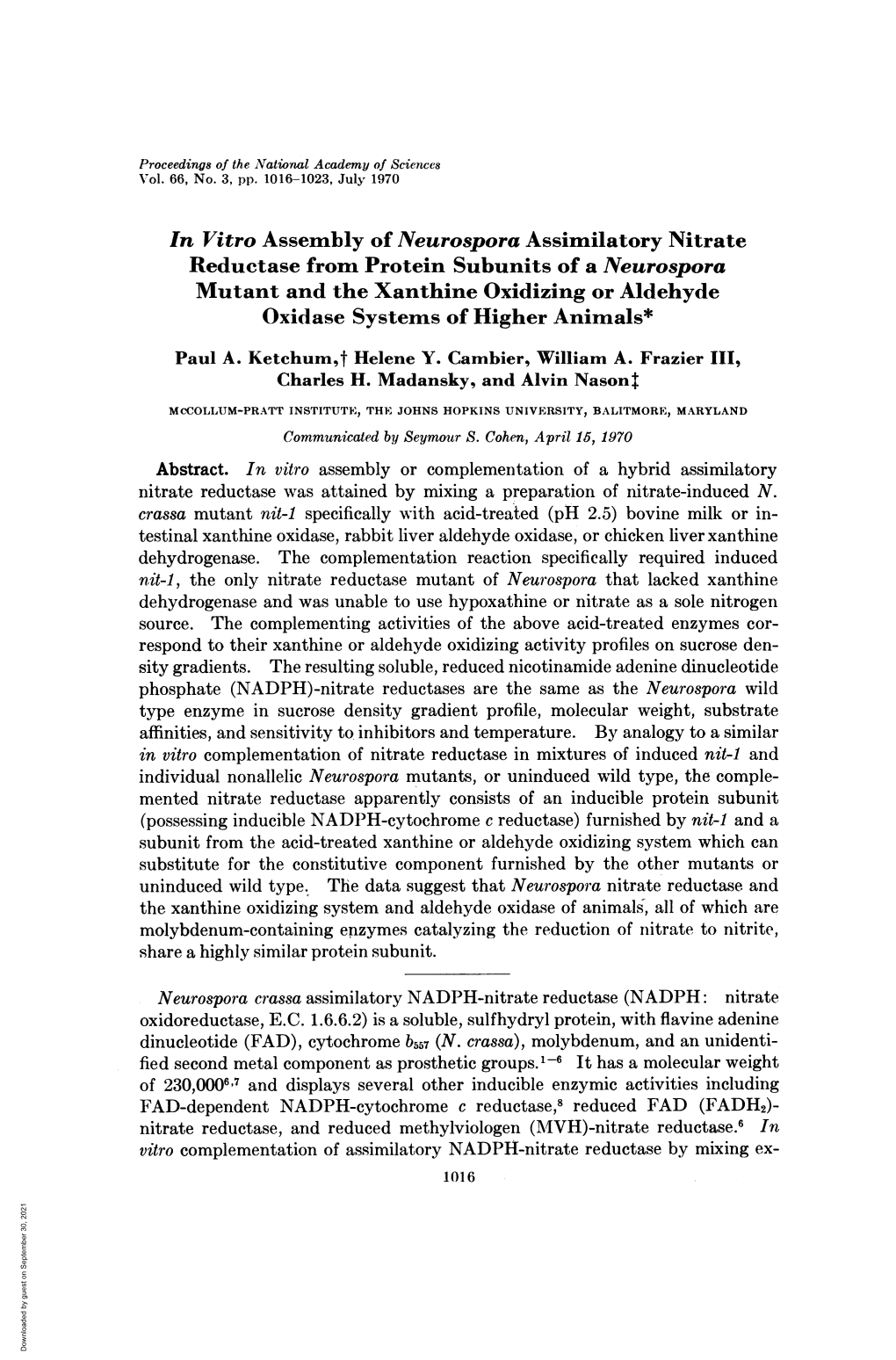 In Vitro Assembly of Neurospora Assimilatory Nitrate Reductase from Protein Subunits of a Neurospora