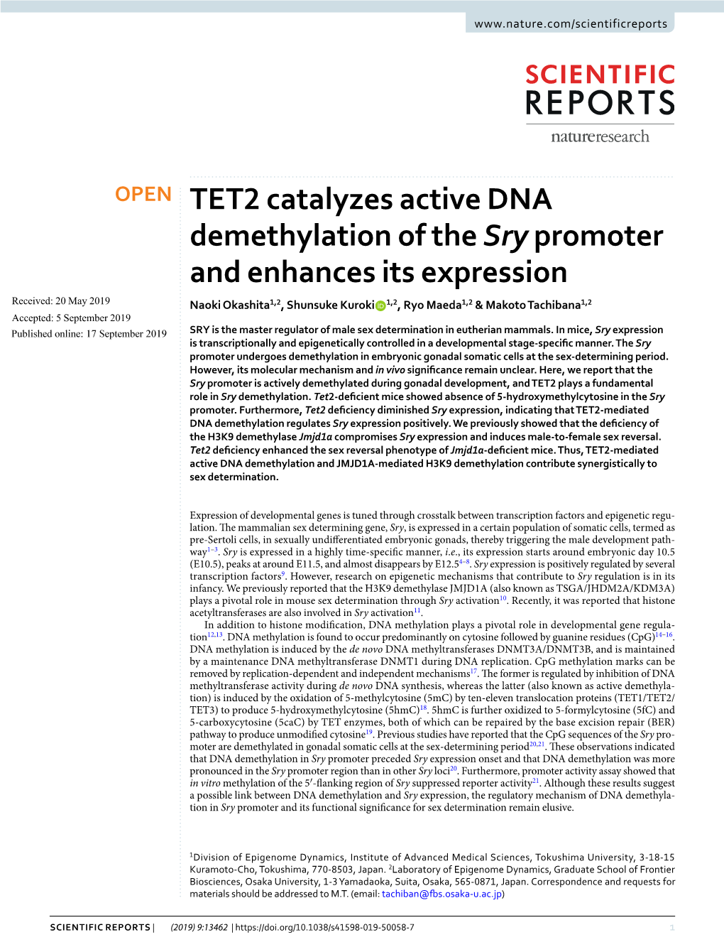 TET2 Catalyzes Active DNA Demethylation of the Sry Promoter