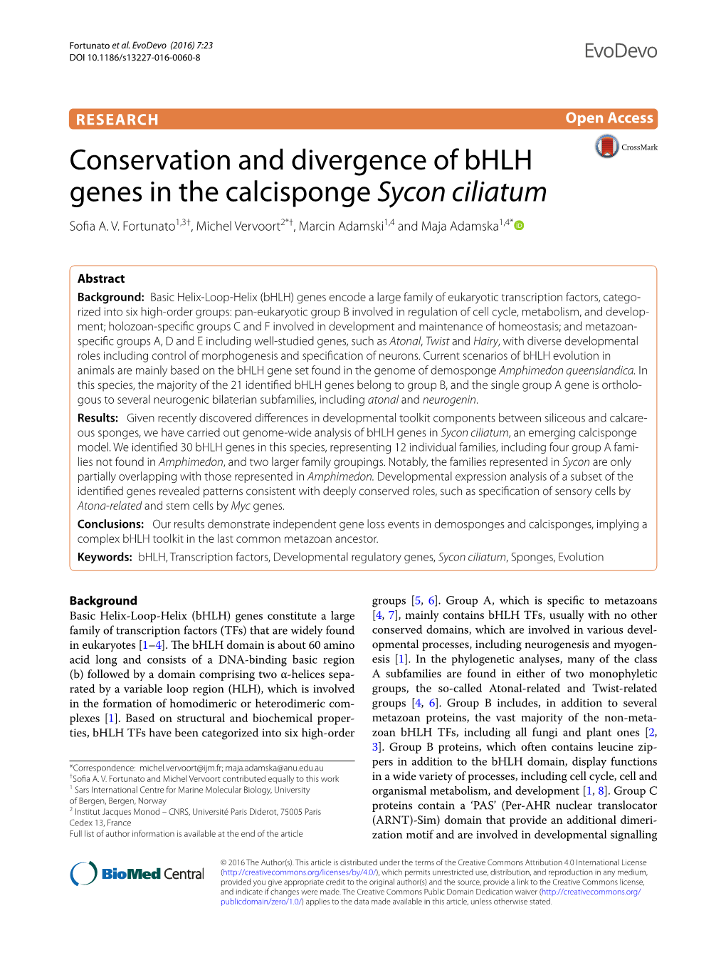 Conservation and Divergence of Bhlh Genes in the Calcisponge Sycon Ciliatum Sofia A