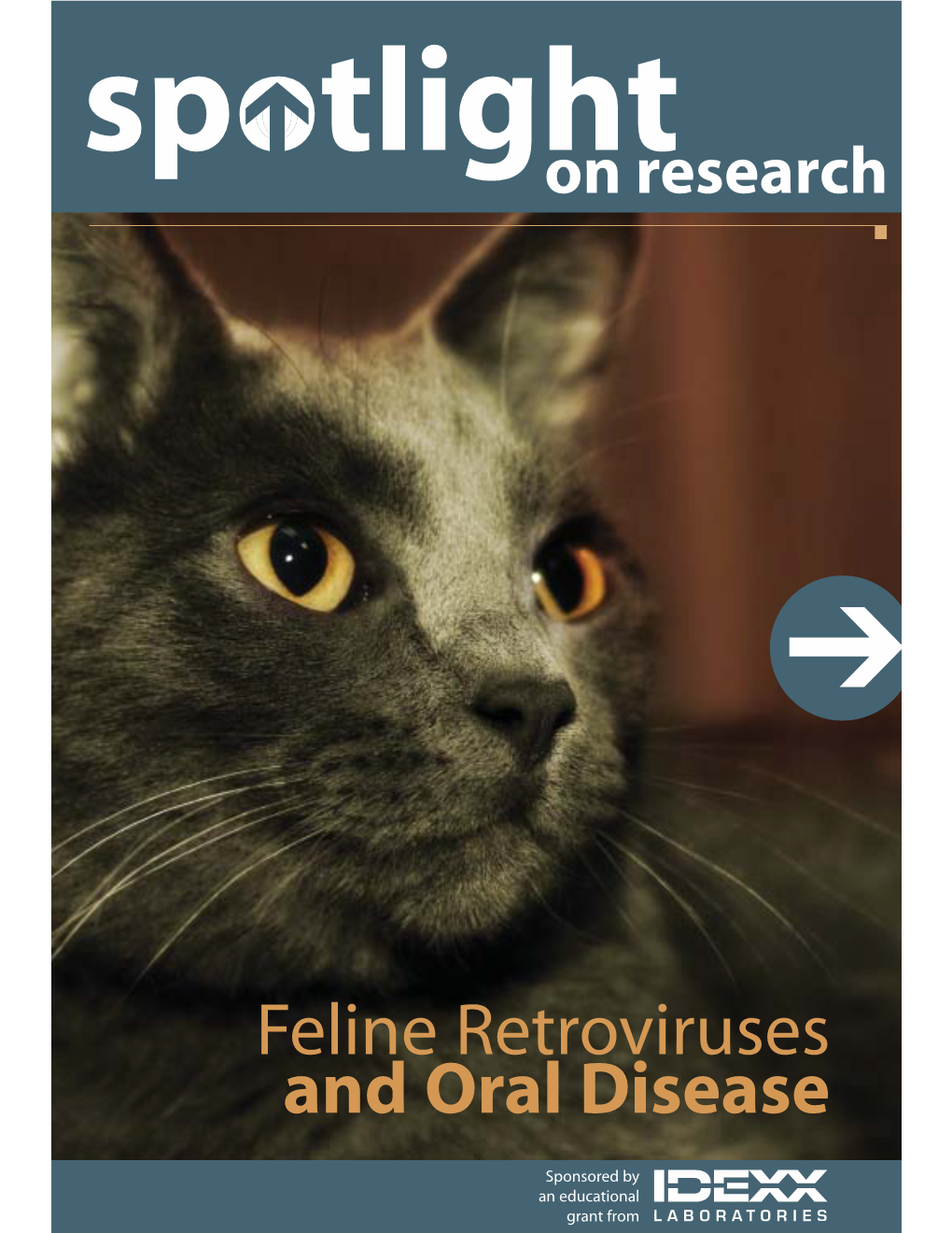 Feline Retroviruses and Oral Disease
