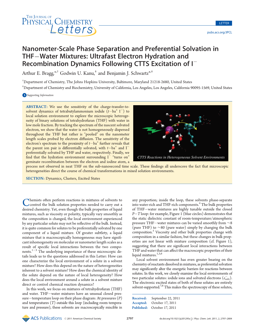 Nanometer-Scale Phase Separation and Preferential Solvation In