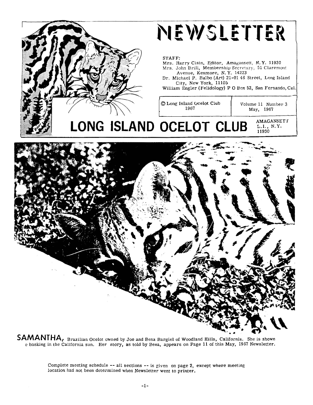 Ocelot Club Volu~Ne11 Number 3 10 1967 1 May, 1967 AMAGANSET I? OCELOT CLUB SF
