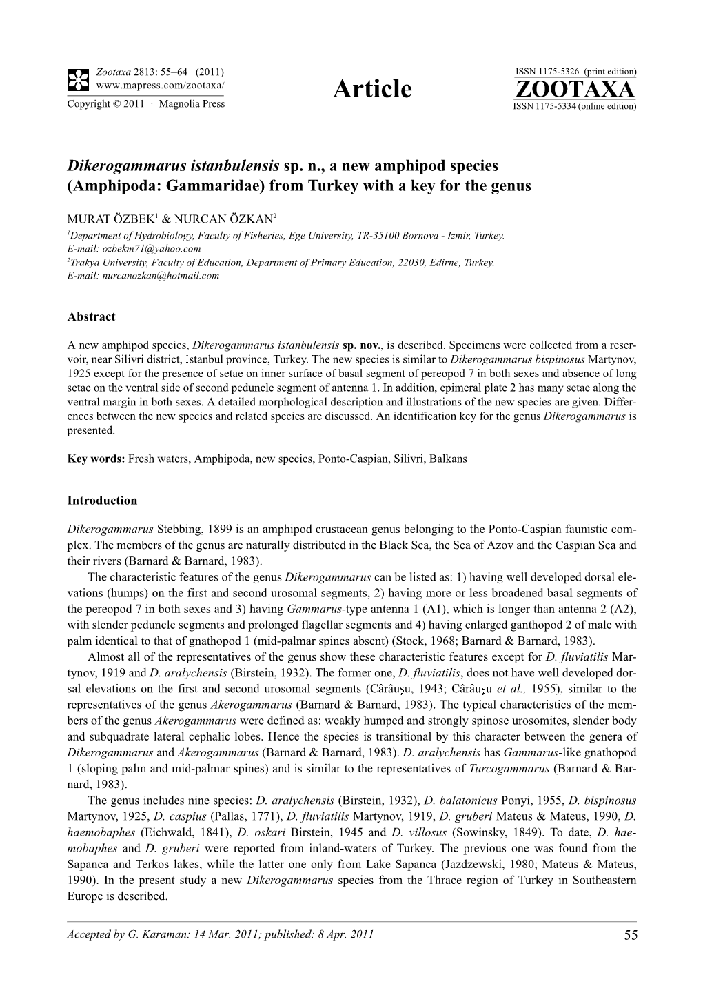 Dikerogammarus Istanbulensis Sp. N., a New Amphipod Species (Amphipoda: Gammaridae) from Turkey with a Key for the Genus