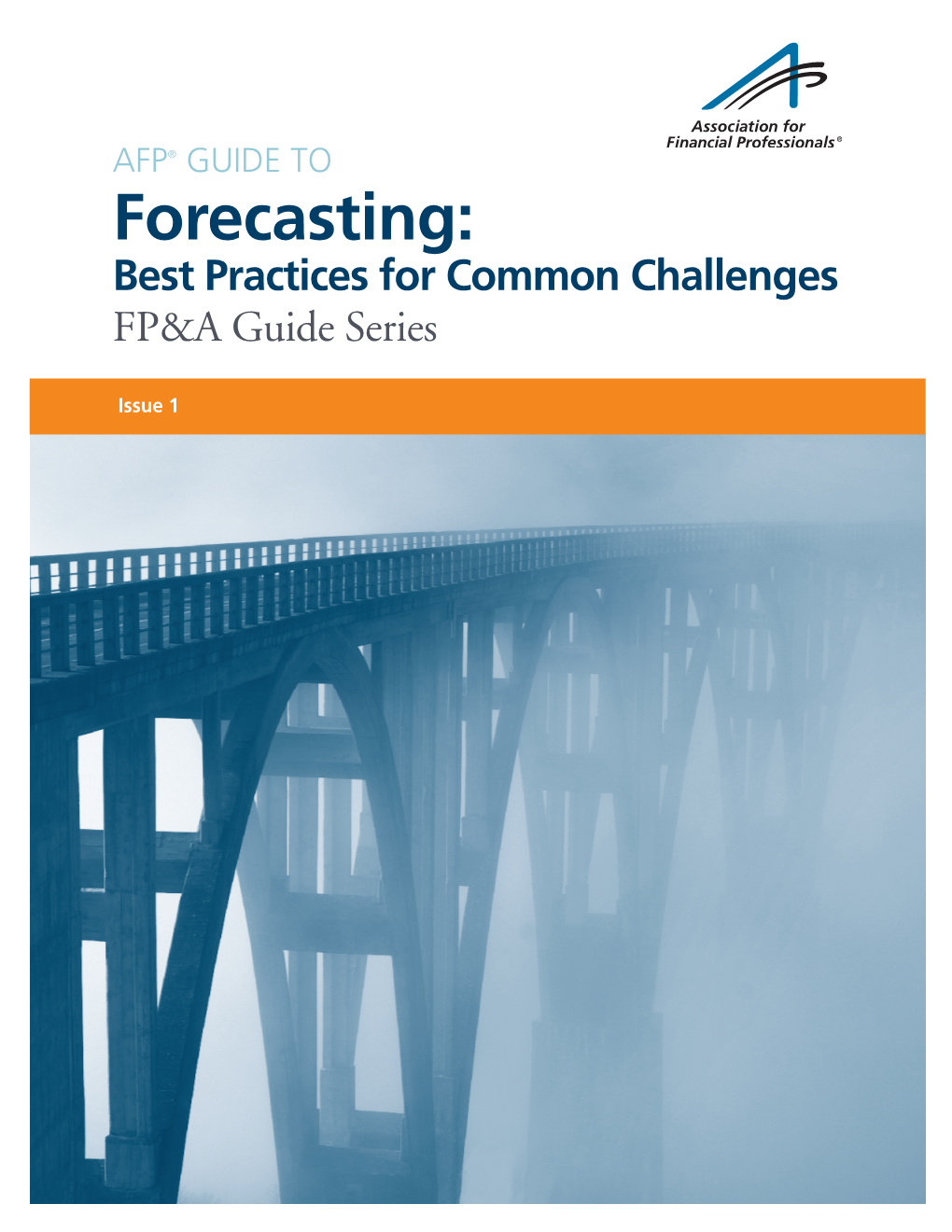 Forecasting: Best Practices for Common Challenges FP&A Guide Series