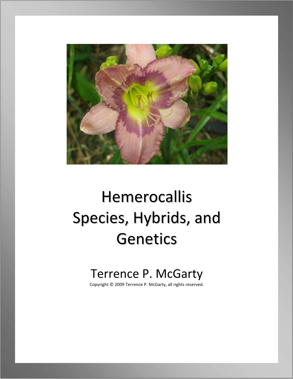 Hemerocallis