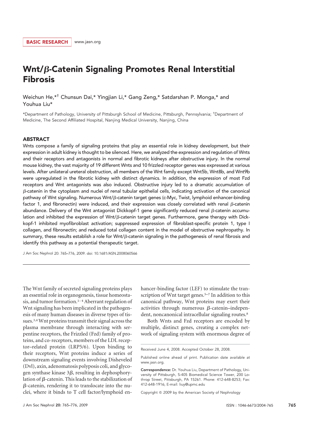 Wnt/-Catenin Signaling Promotes Renal Interstitial Fibrosis