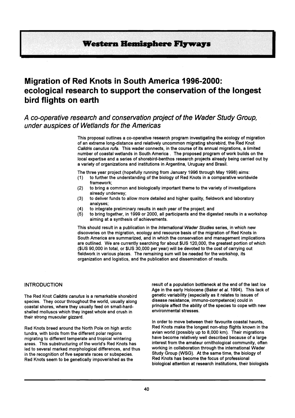 Migration of Red Knots in South America 1996&Ndash