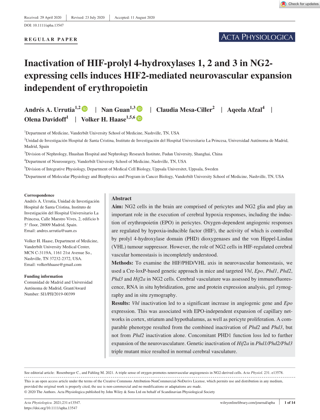 Inactivation of HIF‐Prolyl 4‐Hydroxylases 1, 2 and 3 in NG2‐Expressing Cells Induces HIF2‐Mediated Neurovascular Expansi