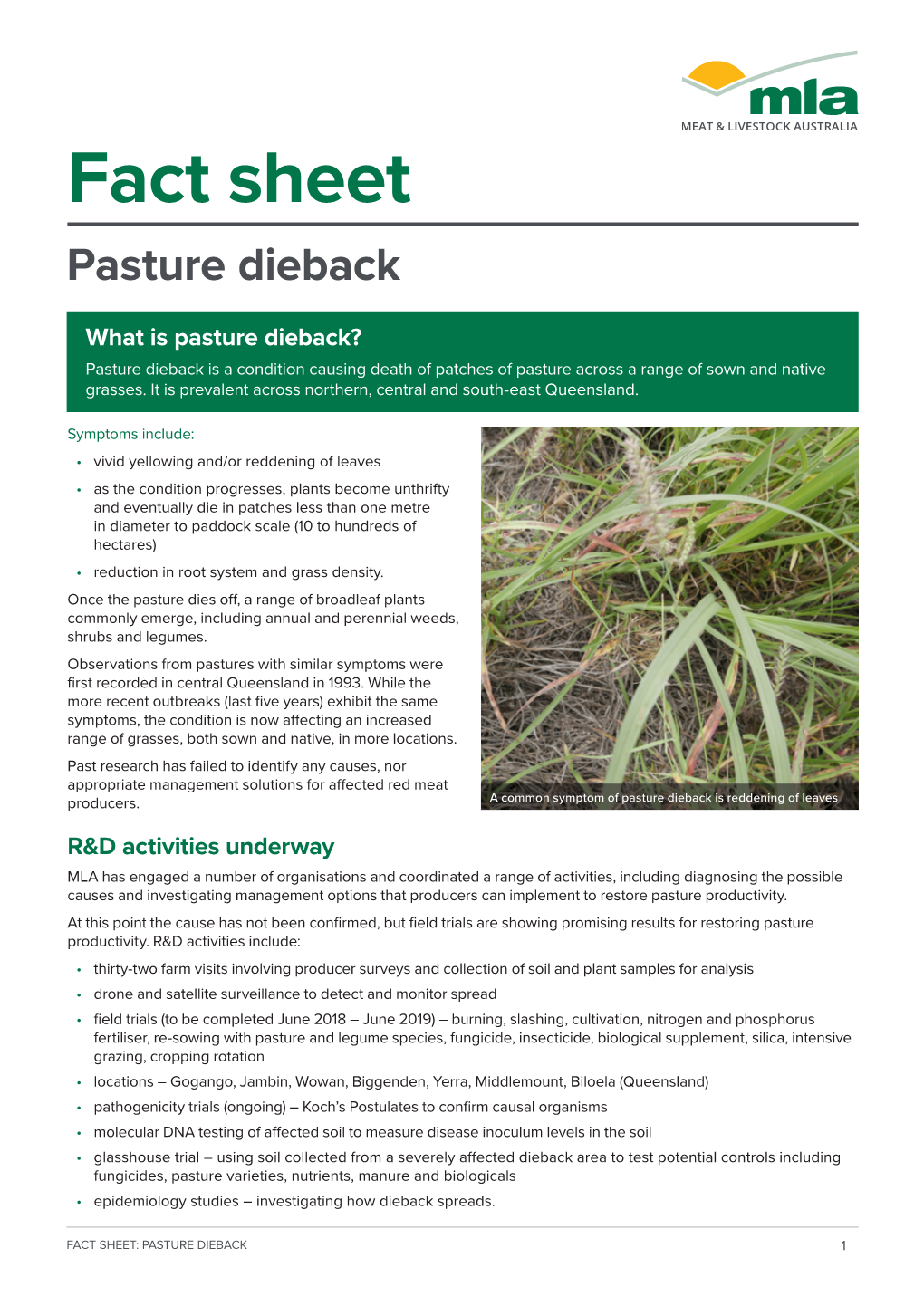 Pasture Dieback Fact Sheet