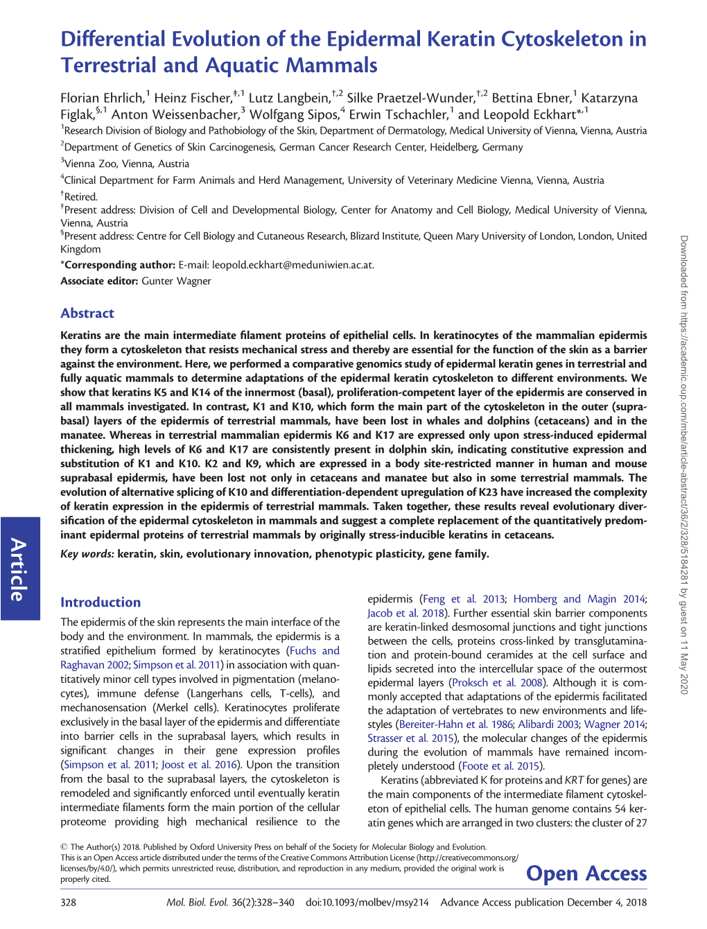 Differential Evolution of the Epidermal Keratin Cytoskeleton in Terrestrial