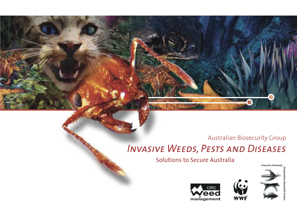 Invasive Weeds, Pests and Diseases Solutions to Secure Australia ISBN 0-9750979-4-6