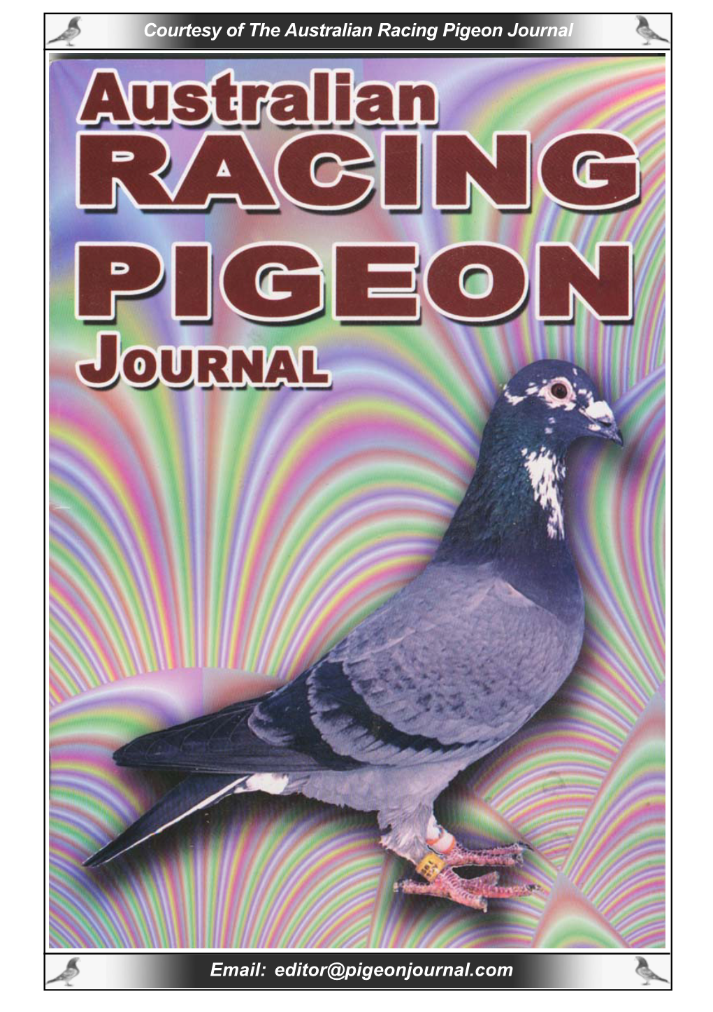 The Pigeons of Northrop Barker