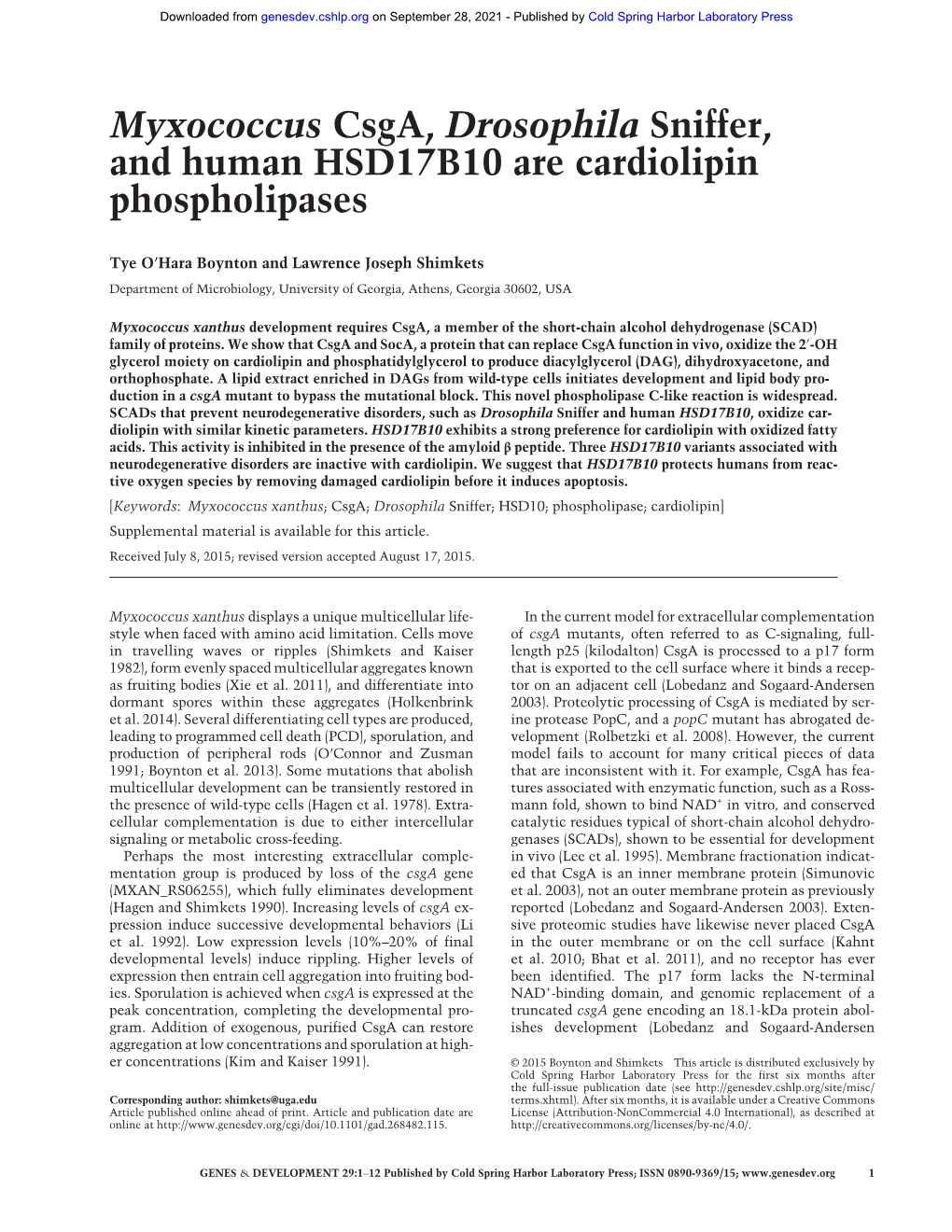 Myxococcus Csga, Drosophila Sniffer, and Human HSD17B10 Are Cardiolipin Phospholipases