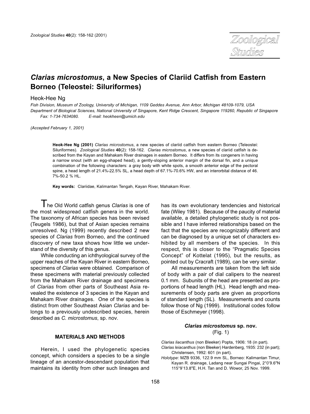 Clarias Microstomus, a New Species of Clariid Catfish from Eastern Borneo