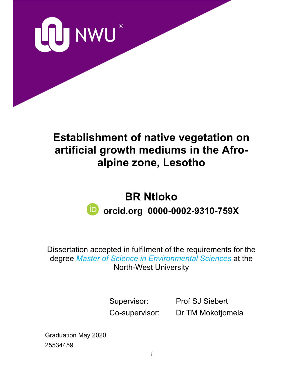 Thesis-BR Ntloko-25534459