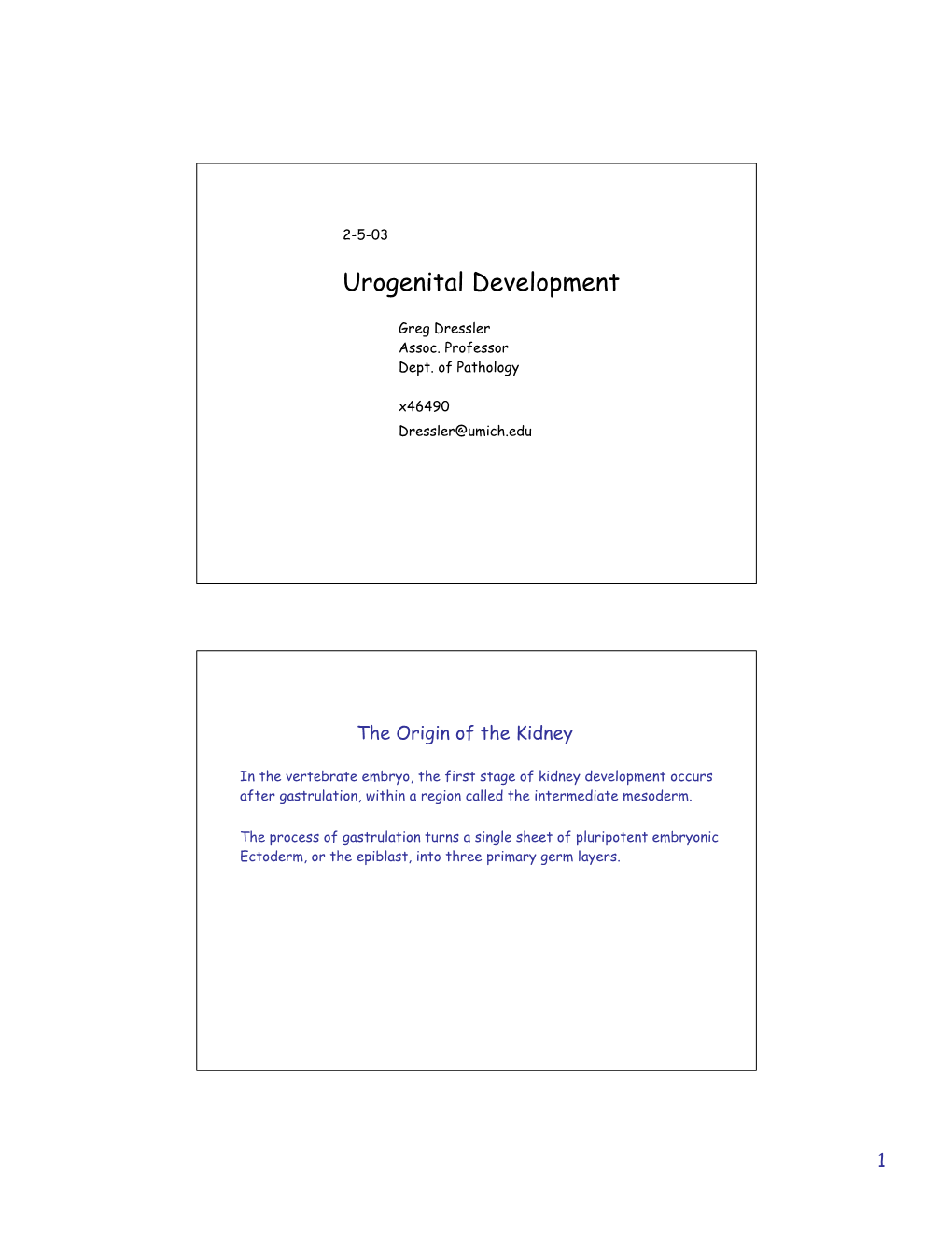 Urogenital Development