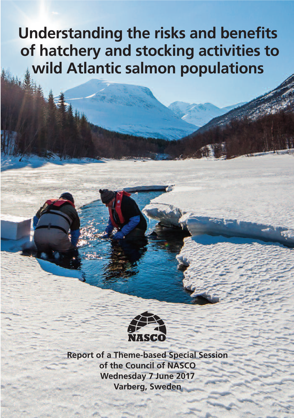 Understanding the Risks and Benefits of Hatchery and Stocking Activities to Wild Atlantic Salmon Populations
