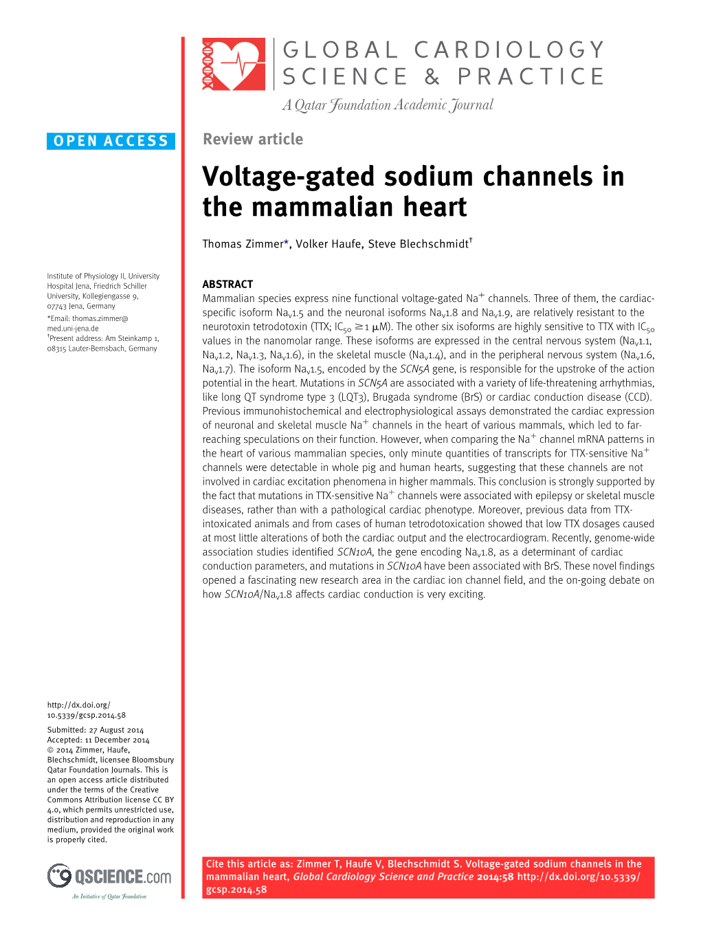 Voltage-Gated Sodium Channels in the Mammalian Heart