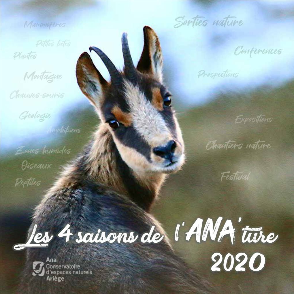 Les 4 Saisons De L'ana'ture