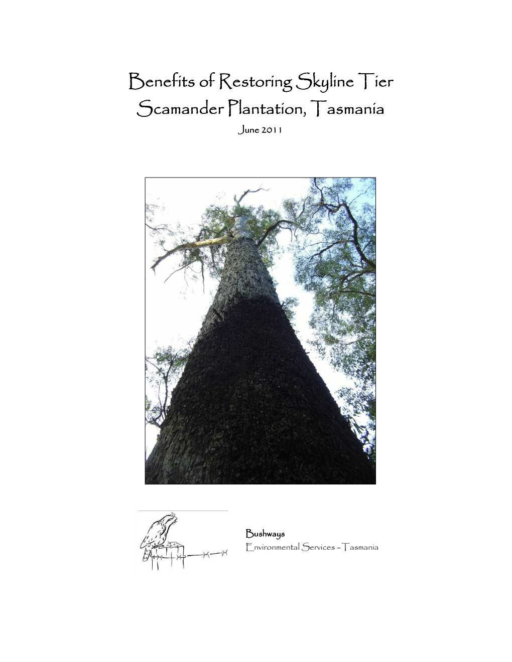 Benefits of Restoring Skyline Tier Scamander Plantation June 2011