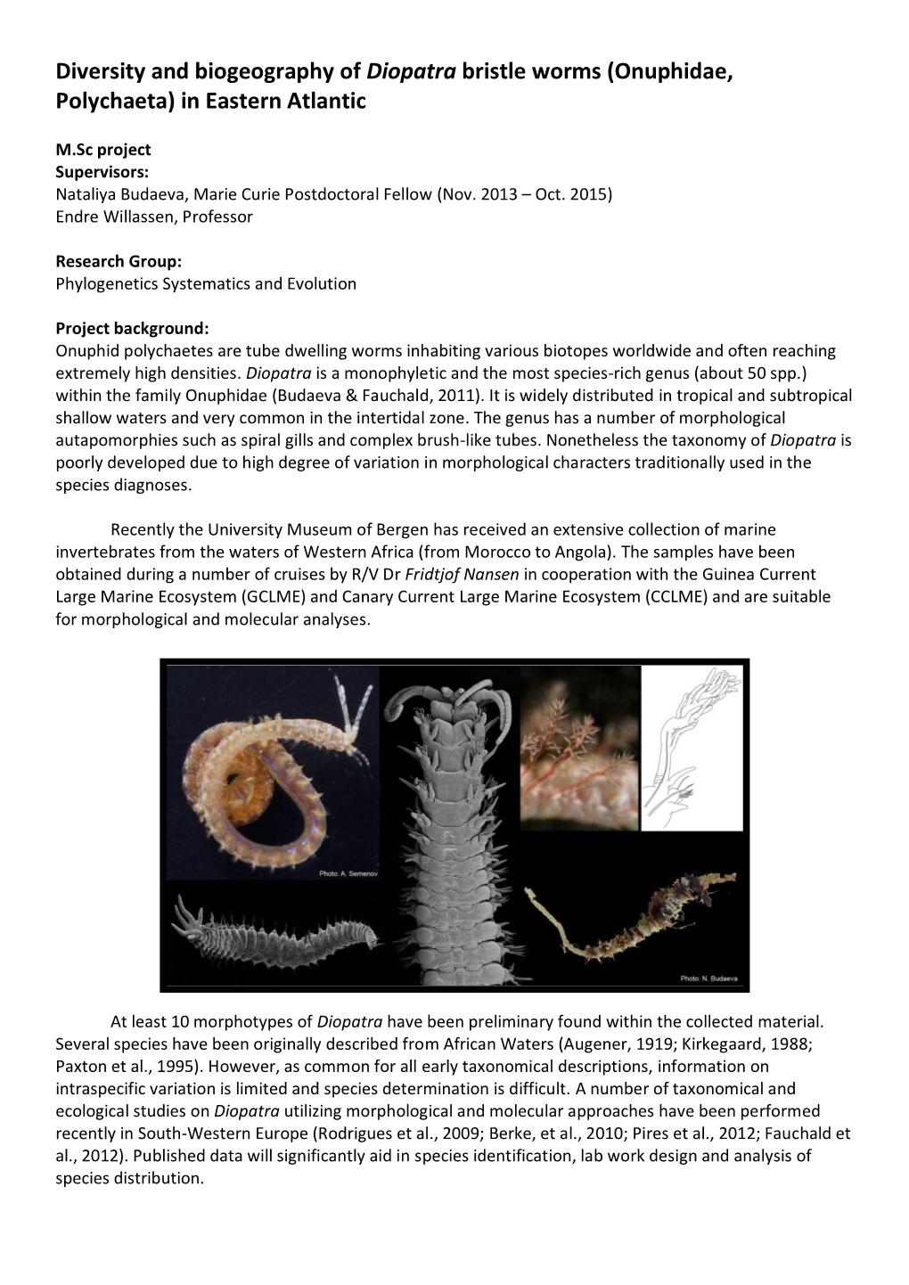 Diversity and Biogeography of Diopatra Bristle Worms (Onuphidae, Polychaeta) in Eastern Atlantic