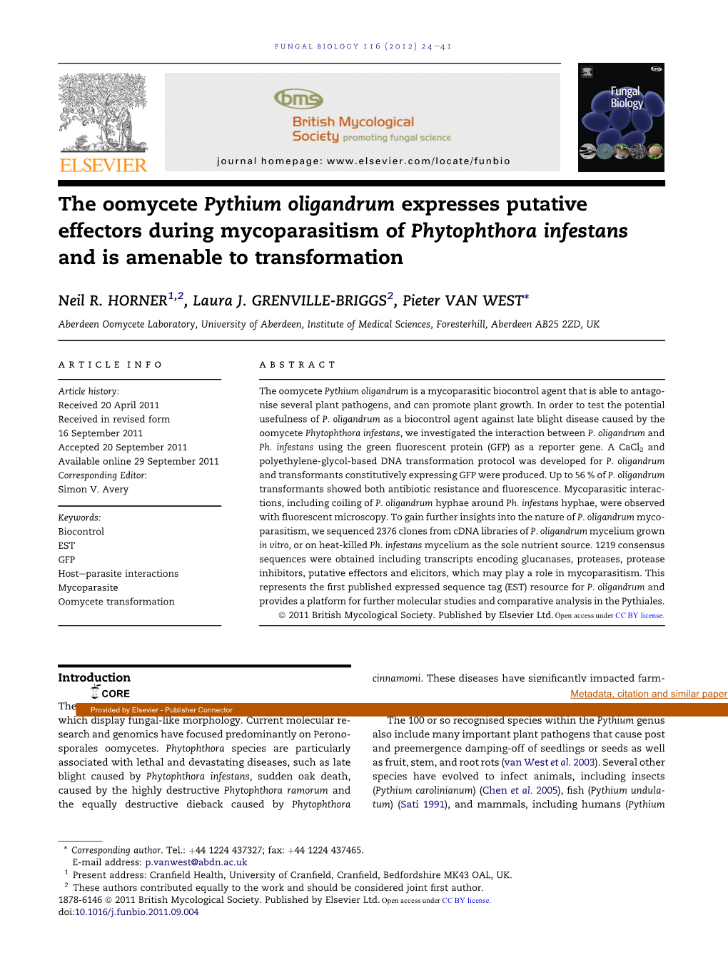 The Oomycete Pythium Oligandrum Expresses Putative Effectors During Mycoparasitism of Phytophthora Infestans and Is Amenable to Transformation