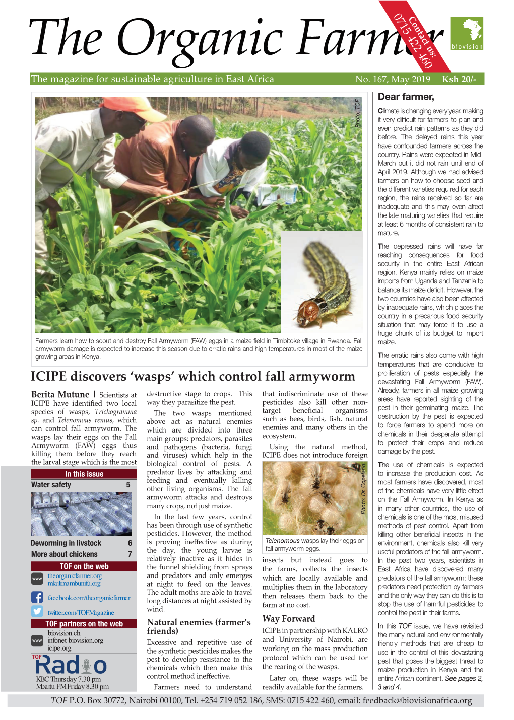ICIPE Discovers 'Wasps' Which Control Fall Armyworm