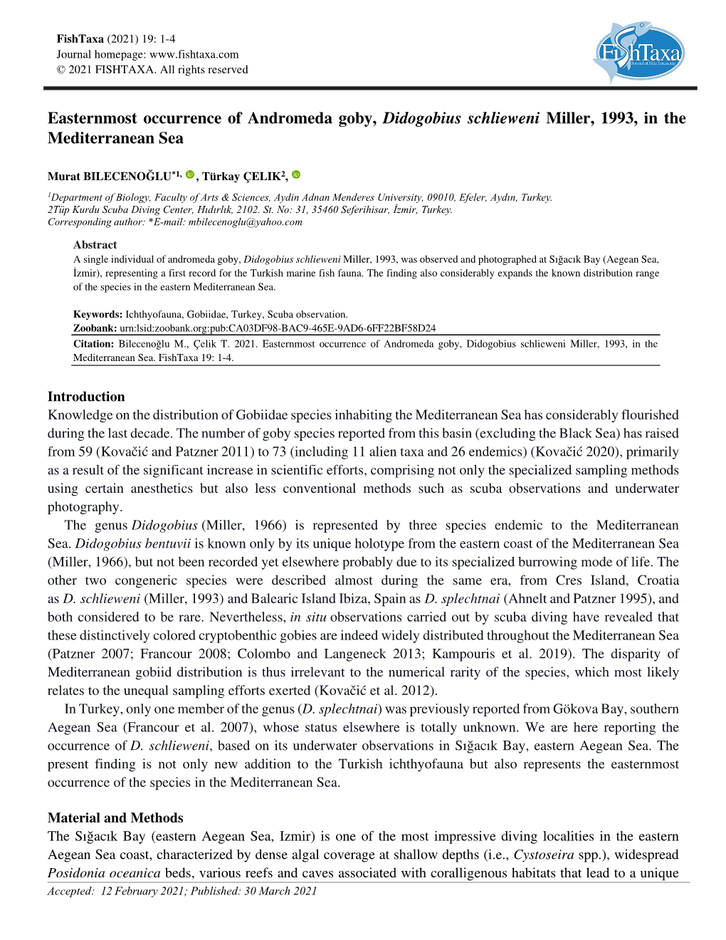 Easternmost Occurrence of Andromeda Goby, Didogobius Schlieweni Miller, 1993, in the Mediterranean Sea