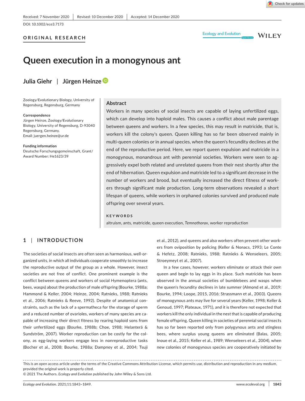 Queen Execution in a Monogynous Ant
