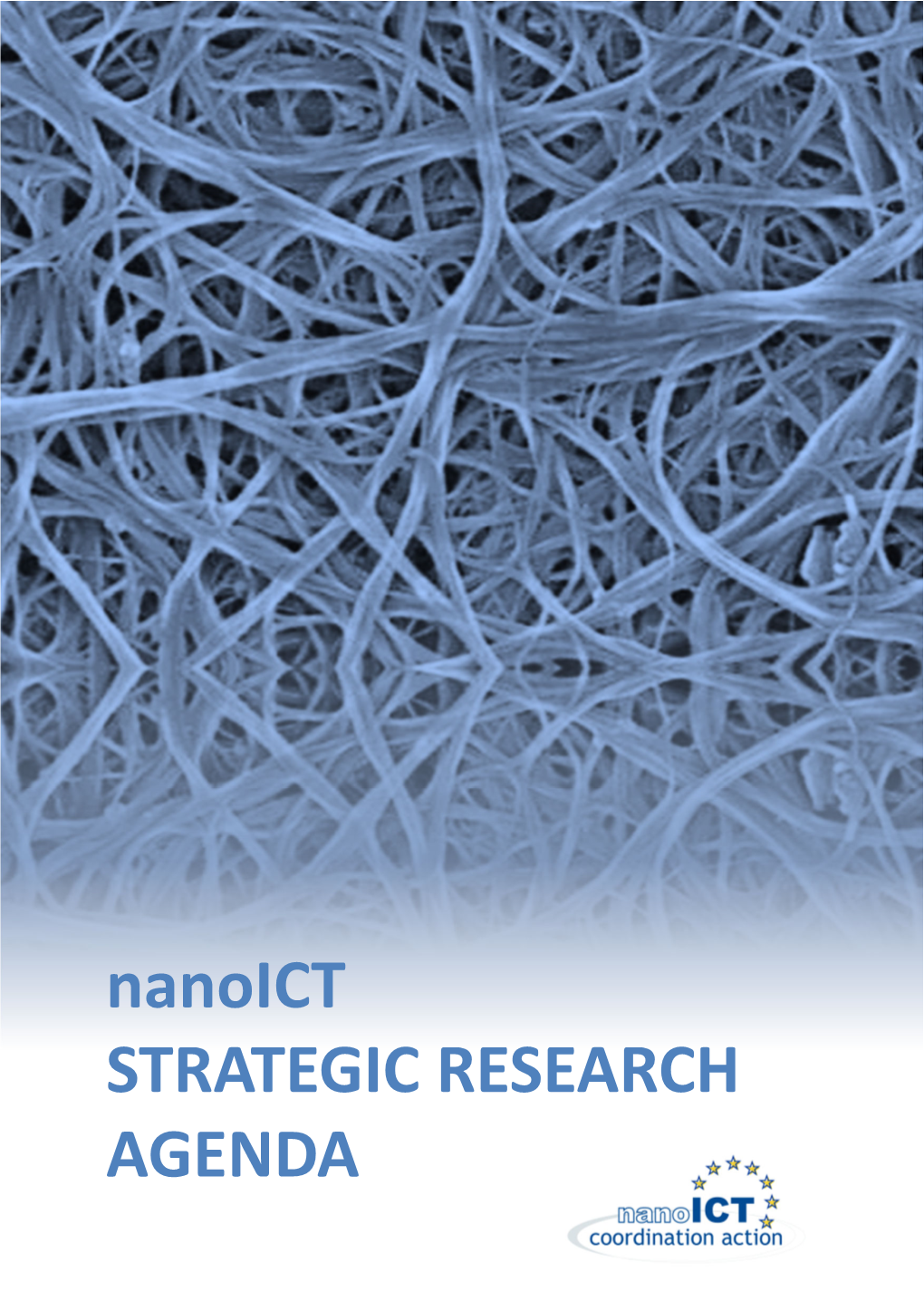 Nanoict STRATEGIC RESEARCH AGENDA