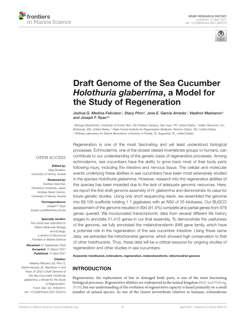 Draft Genome of the Sea Cucumber Holothuria Glaberrima, a Model for the Study of Regeneration