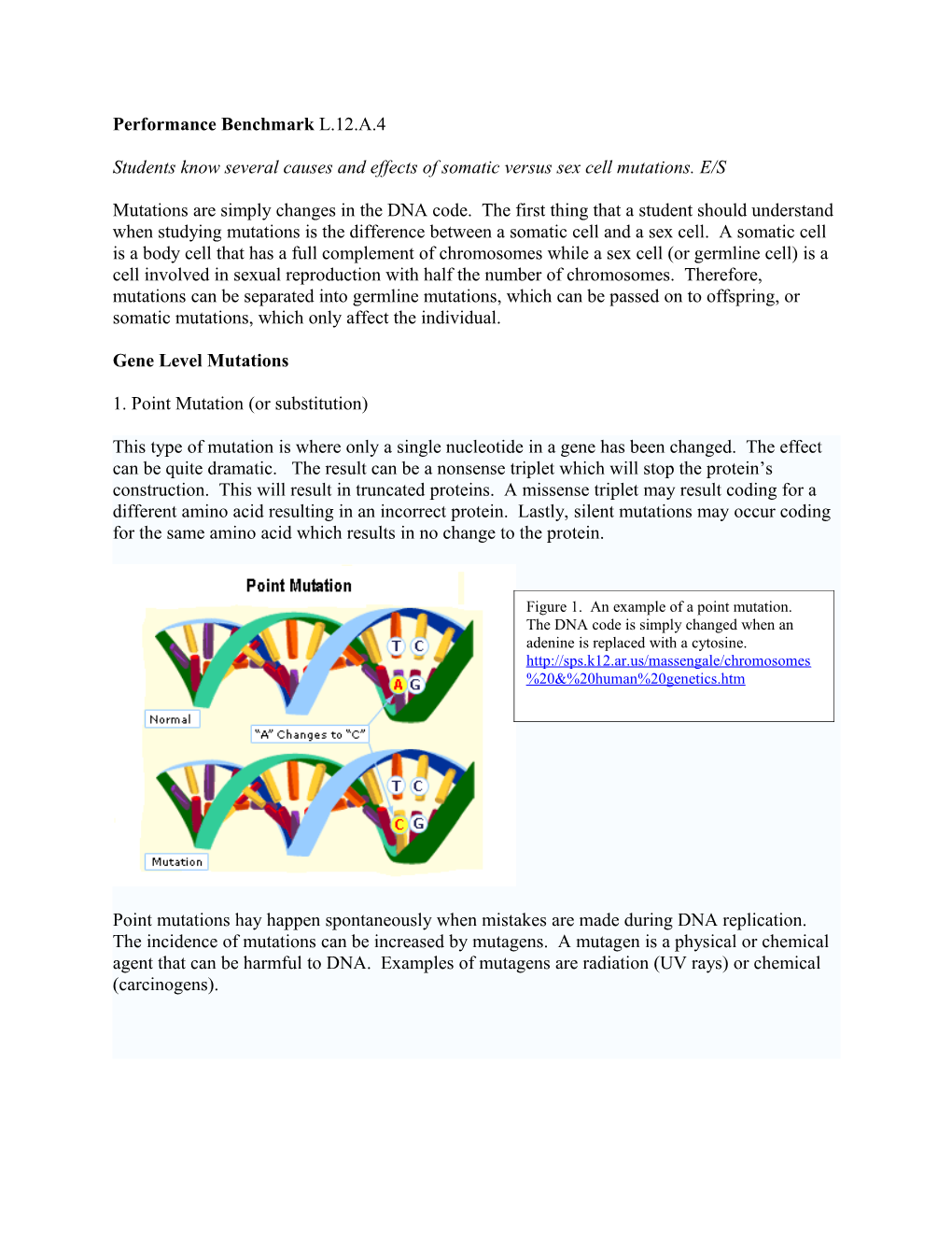 Students Know Several Causes and Effects of Somatic Versus Sex Cell Mutations. E/S