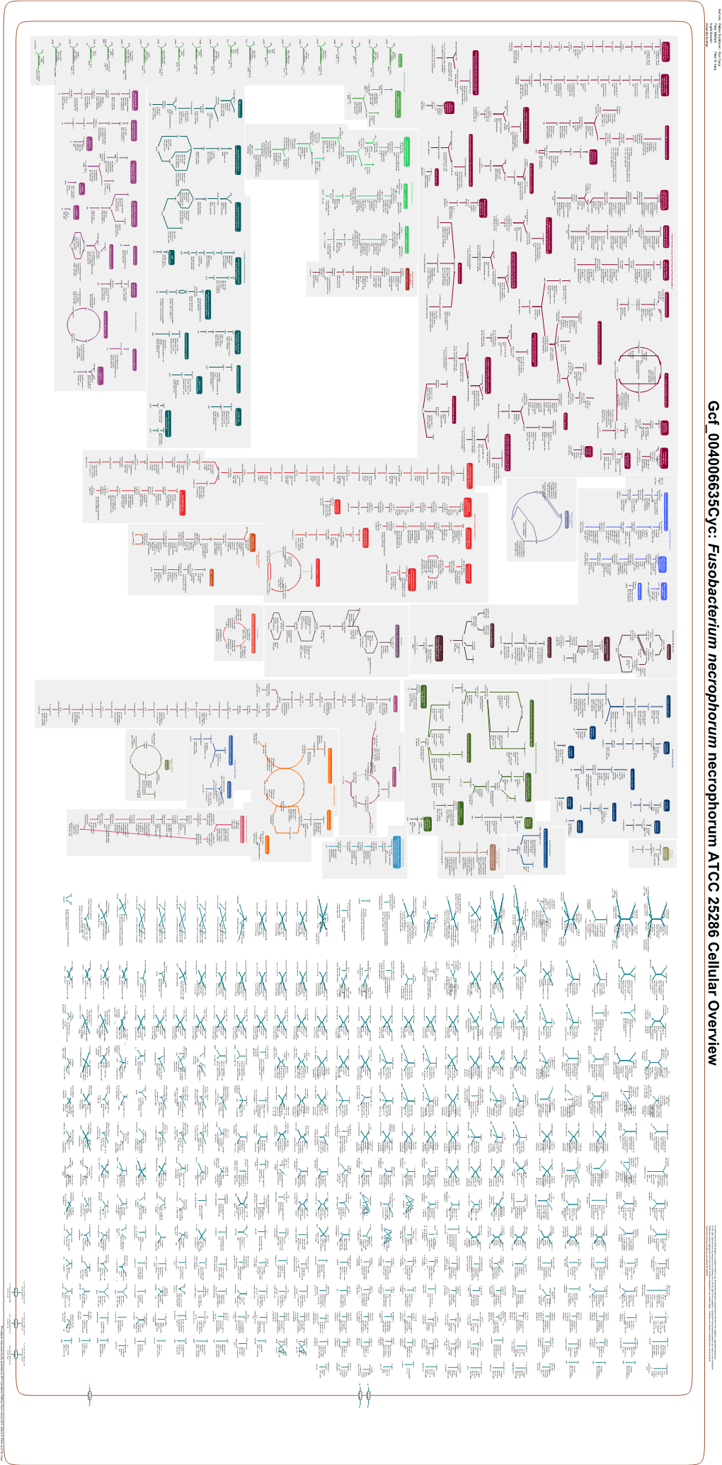 Generated by SRI International Pathway Tools Version 25.0, Authors S