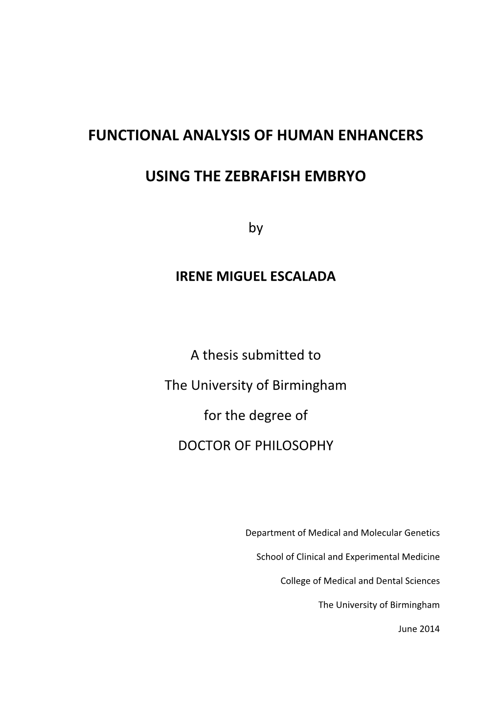 Functional Analysis of Human Enhancers Using the Zebrafish