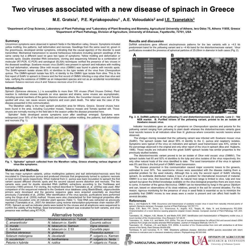Two Viruses Associated with a New Disease of Spinach in Greece