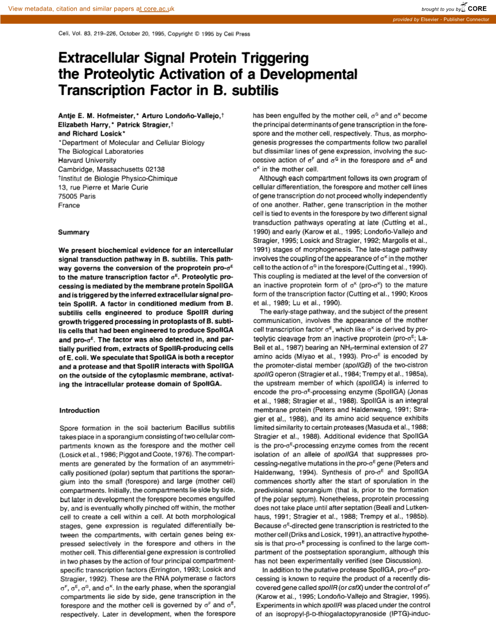 Extracellular Signal Protein Triggering the Proteolytic Activation of a Developmental Transcription Factor in B