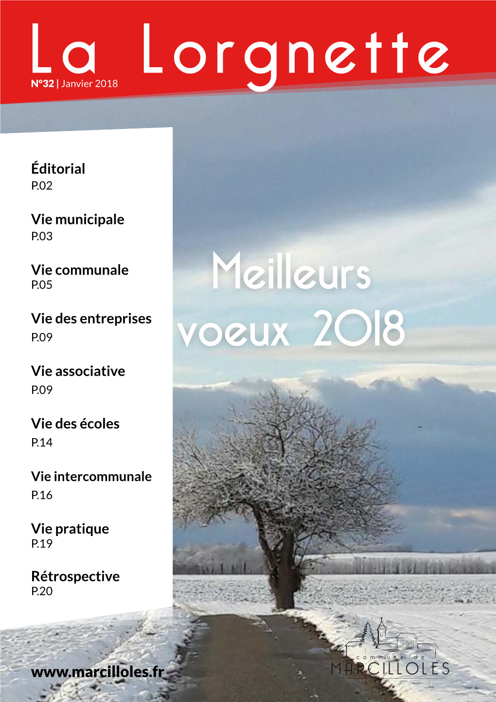 Meilleurs Voeux 2018