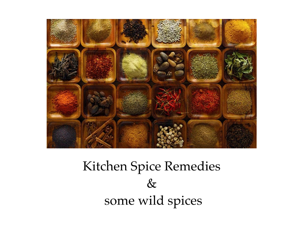Kitchen Spice Remedies & Some Wild Spices