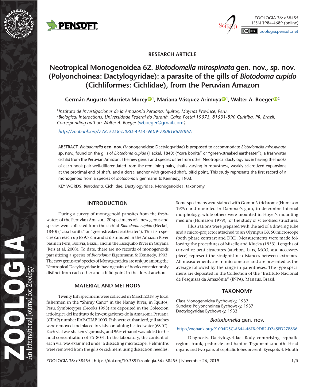 Polyonchoinea: Dactylogyridae): a Parasite of the Gills of Biotodoma Cupido (Cichliformes: Cichlidae), from the Peruvian Amazon