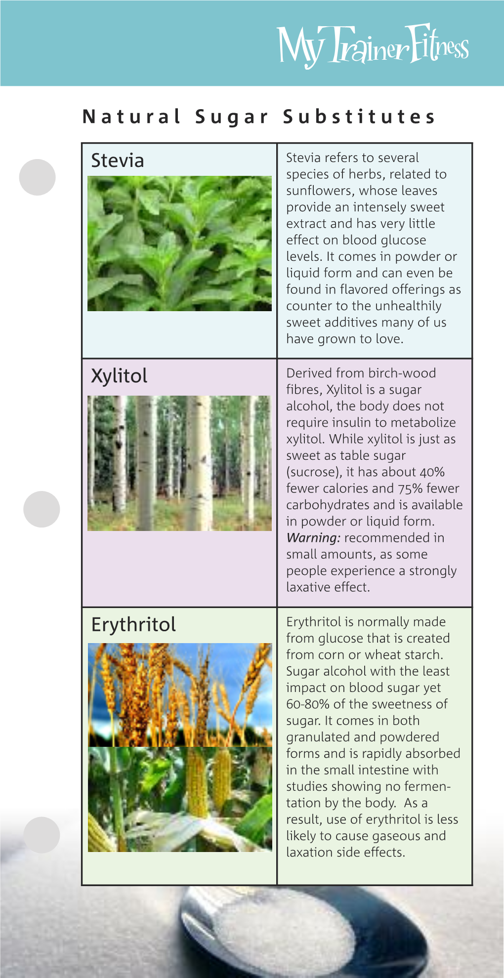 Natural Sugar Substitutes Stevia Xylitol Erythritol